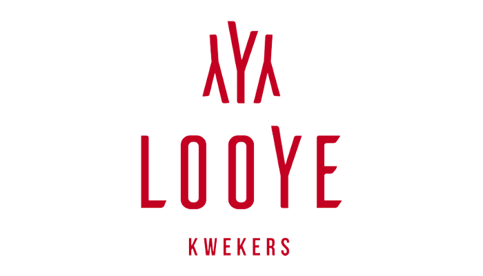 looye